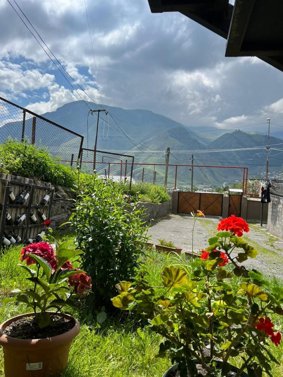 Guesthouse Relax In Kazbegi 外观 照片