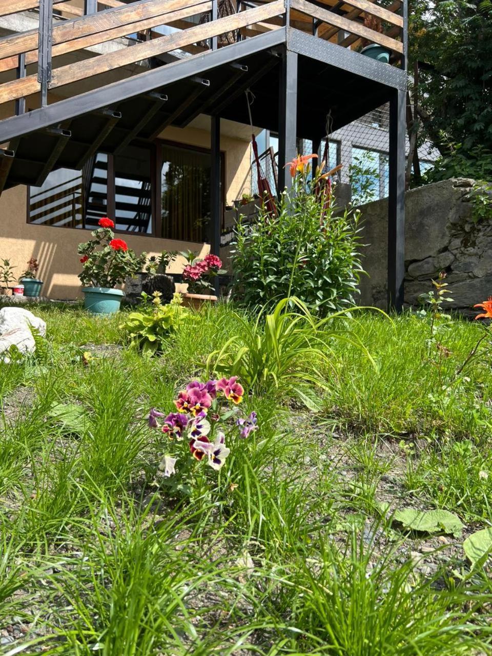 Guesthouse Relax In Kazbegi 外观 照片