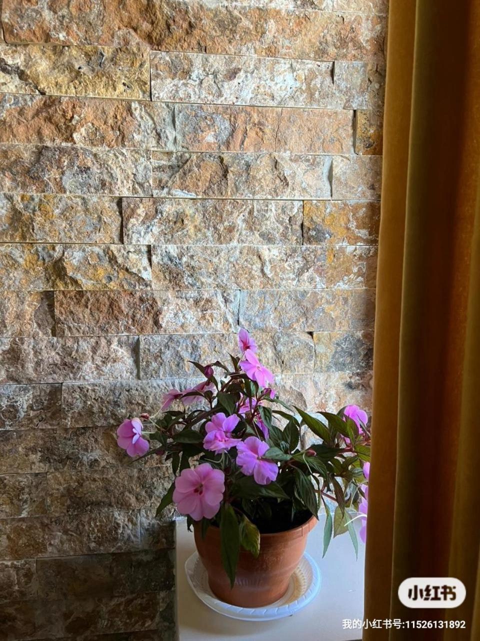 Guesthouse Relax In Kazbegi 外观 照片